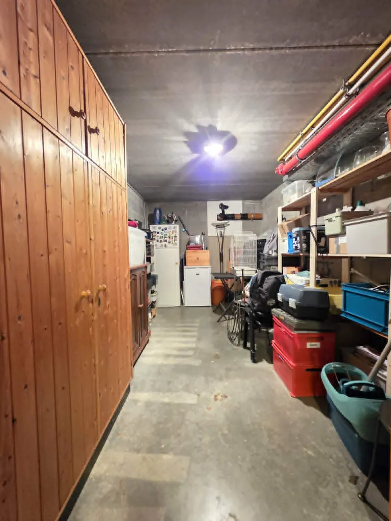 1564bc79-b193-4f6a-8560-bbd1bc09ccec.webp